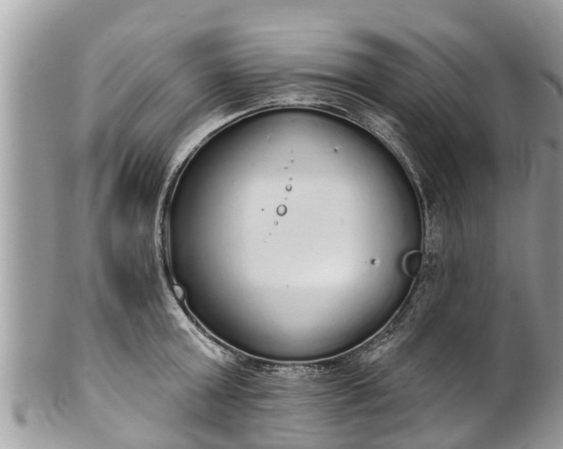 X0000101230803200807071411