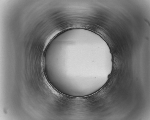 X0000101230804200807071411