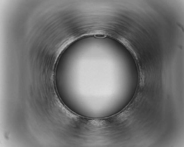 X0000101230805200807071411