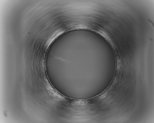 X0000101230806200807071411