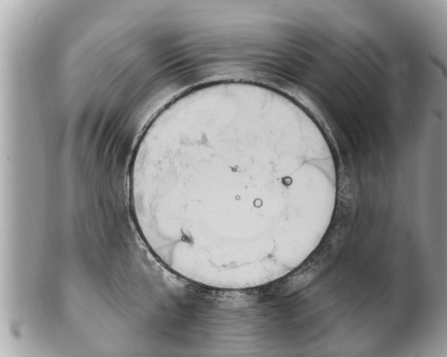 X0000101230807200807071411