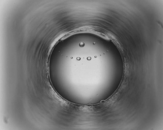 X0000101230808200807071411