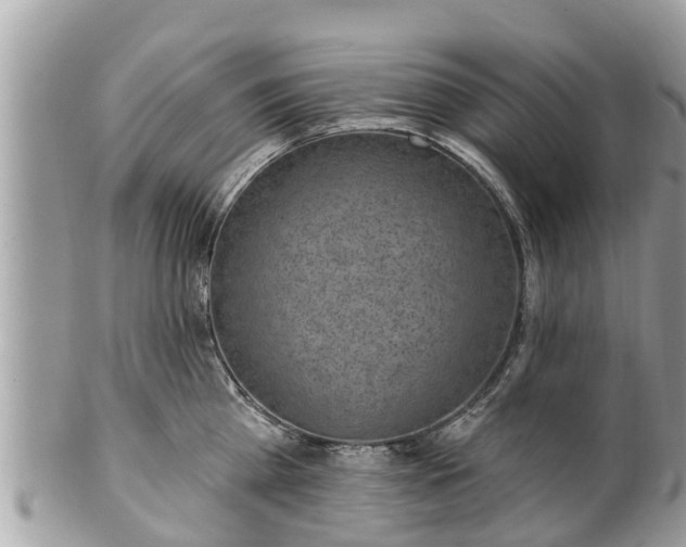 X0000101230809200807071411