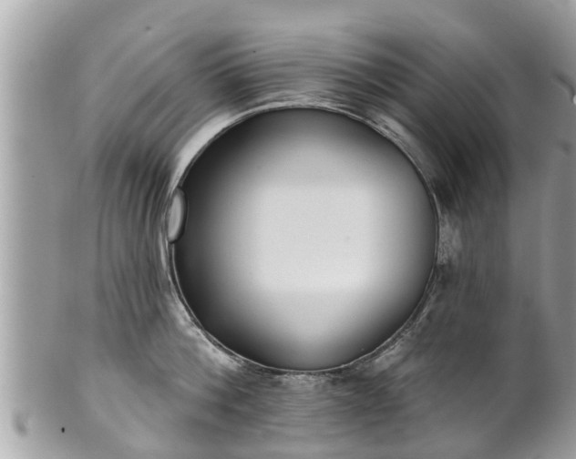 X0000101230812200807071411