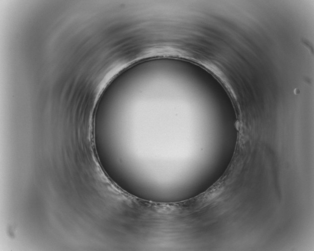 X0000101230815200807071410