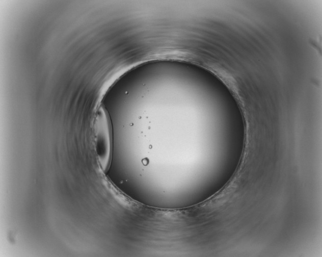 X0000101230816200807071410