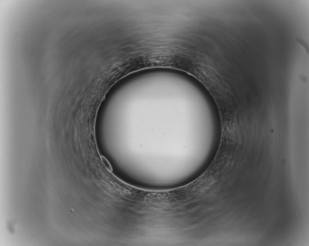 X0000101230817200807071409