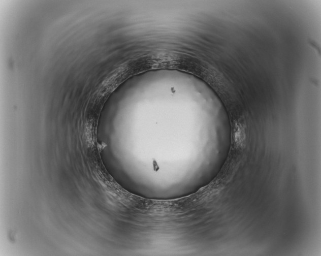 X0000101230819200807071409