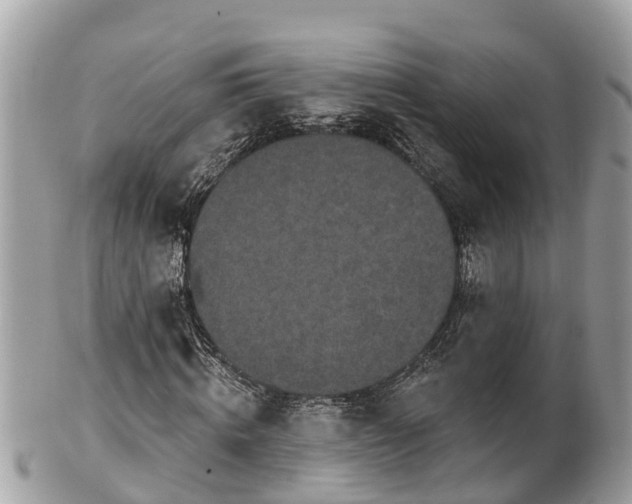 X0000101230820200807071409