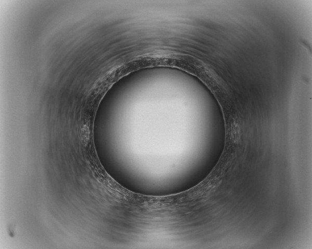 X0000101230821200807071410