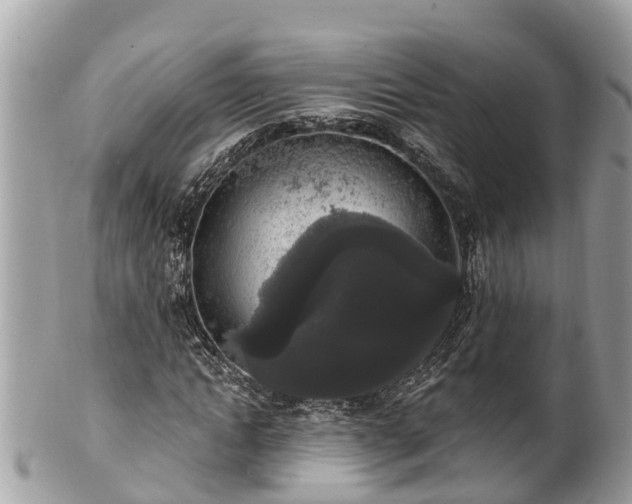 X0000101230822200807071410