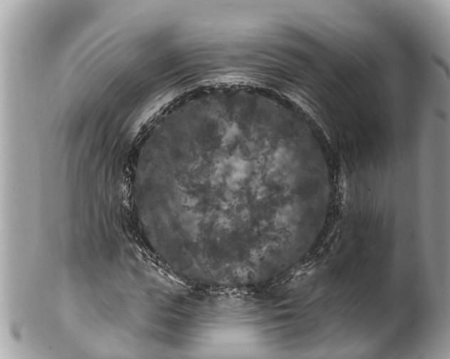 X0000101230823200807071410