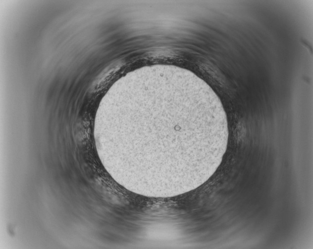 X0000101230824200807071410