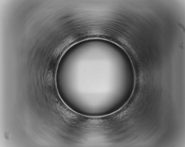 X0000101230825200807071410