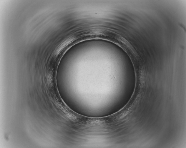 X0000101230826200807071410