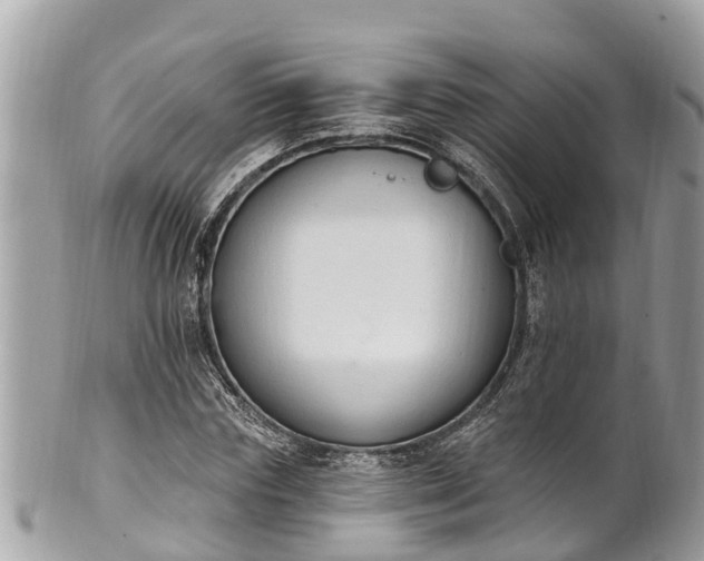 X0000101230827200807071410