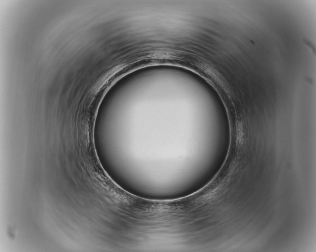 X0000101230829200807071410