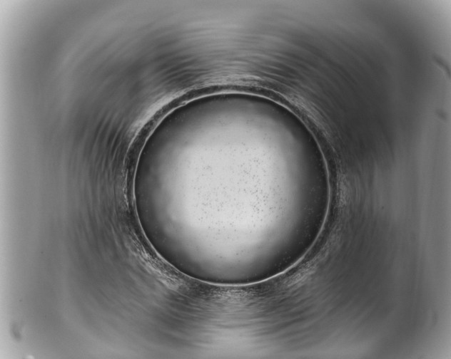 X0000101230830200807071410