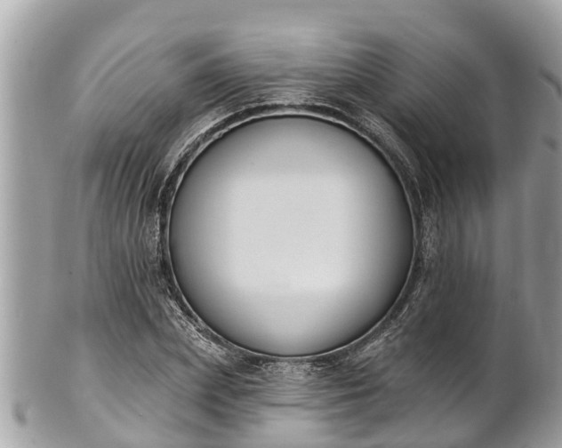 X0000101230831200807071410