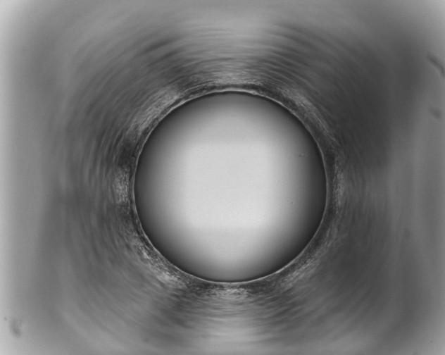 X0000101230833200807071410