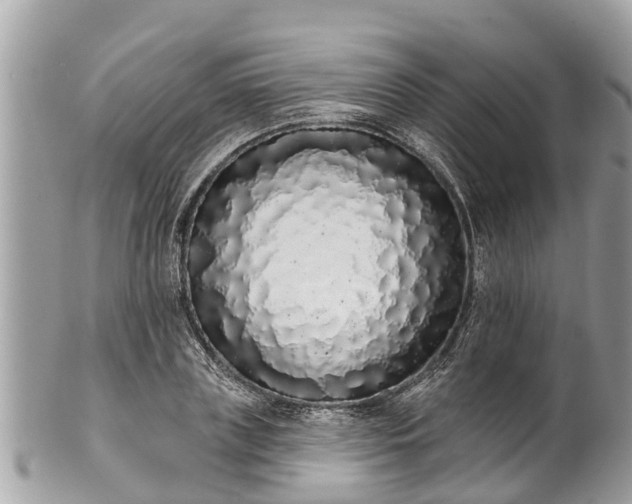 X0000101230835200807071410