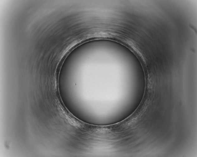 X0000101230837200807071410