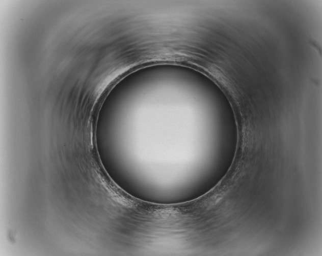 X0000101230838200807071410