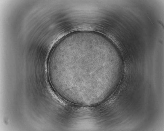 X0000101230840200807071410