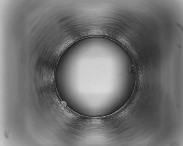 X0000101230841200807071410