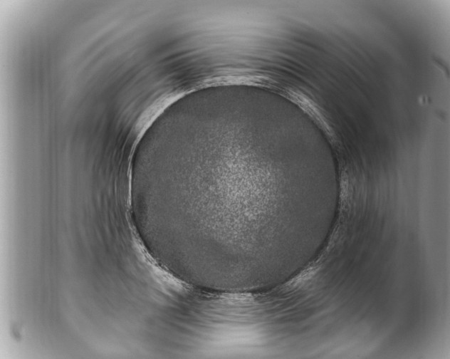 X0000101230844200807071410