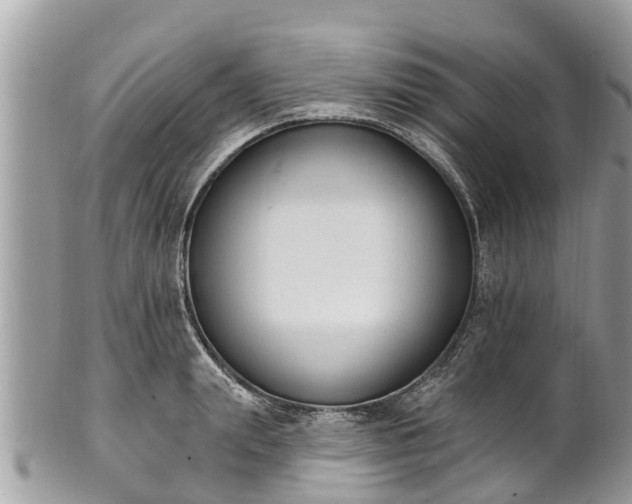 X0000101230847200807071410