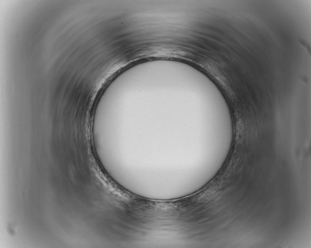 X0000101230848200807071410