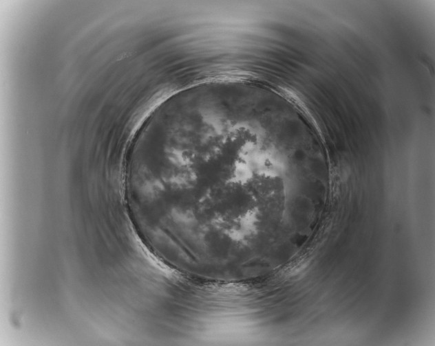 X0000101230851200807071410