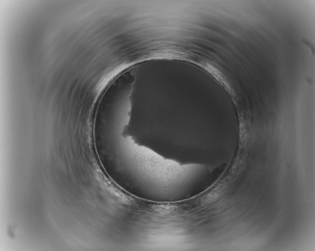 X0000101230854200807071410