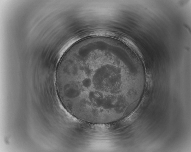 X0000101230855200807071410