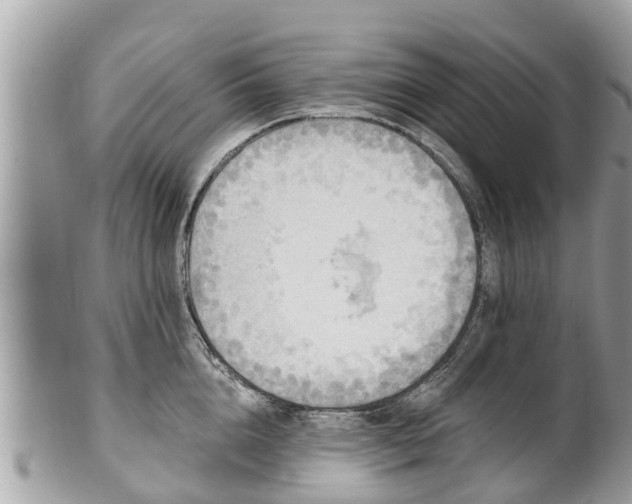 X0000101230856200807071410