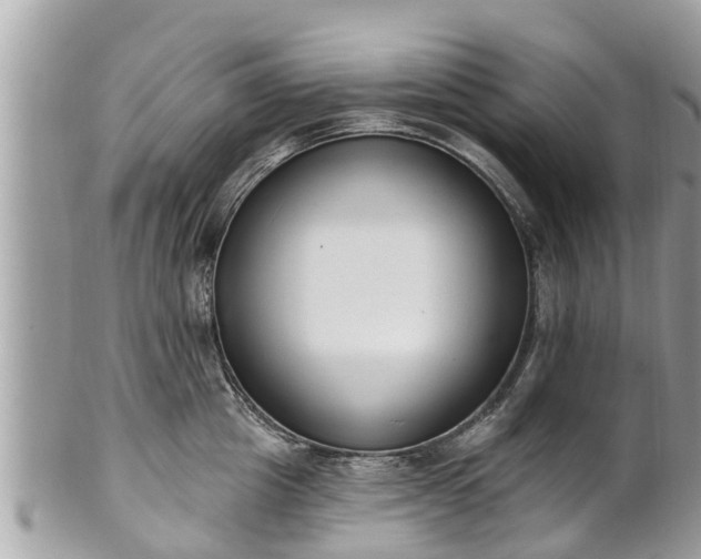 X0000101230857200807071410