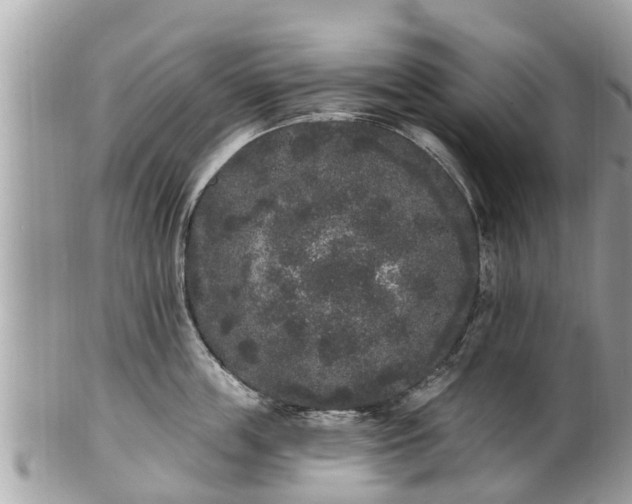 X0000101230859200807071410