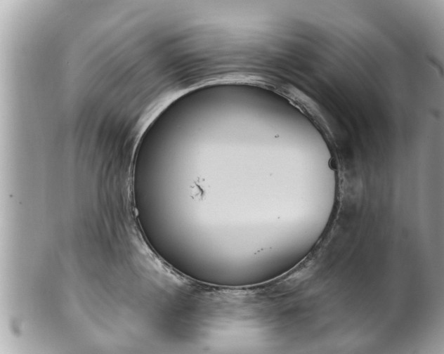 X0000101230860200807071410