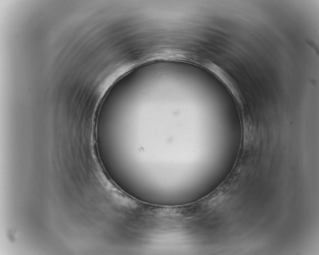 X0000101230861200807071410