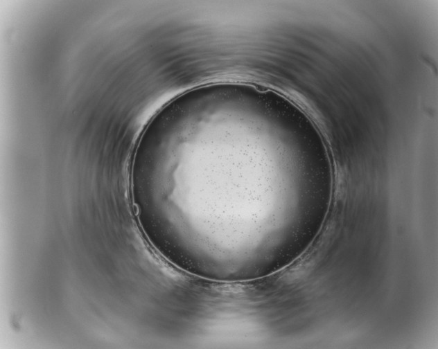 X0000101230862200807071410