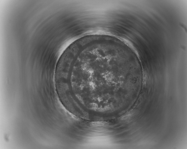 X0000101230863200807071410