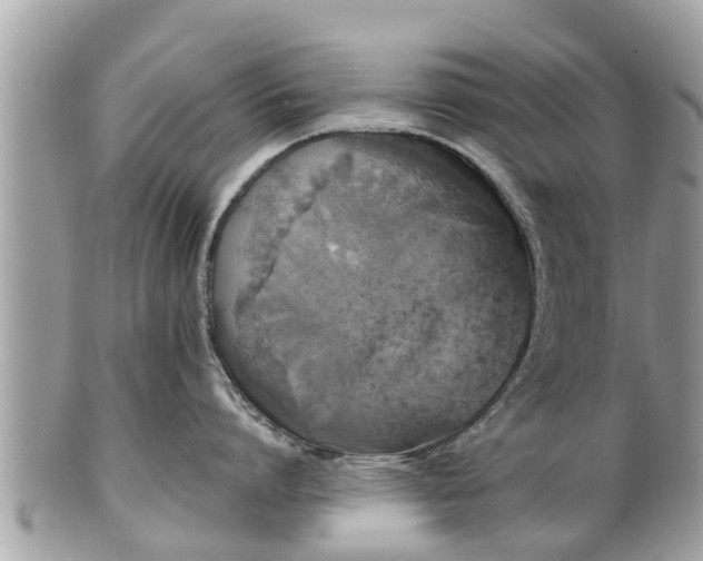 X0000101230864200807071410