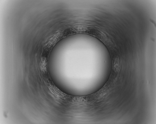 X0000101230866200807071409