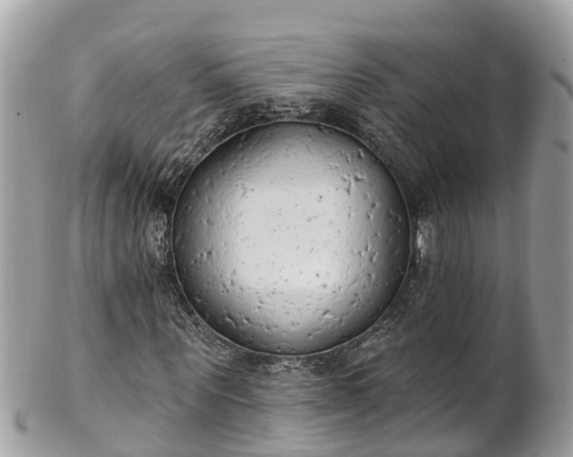 X0000101230867200807071409