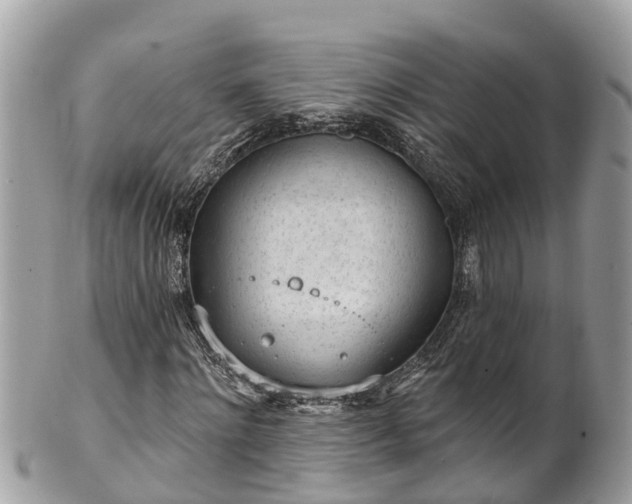 X0000101230868200807071409