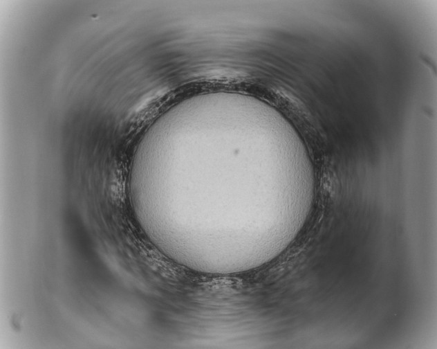 X0000101230869200807071409