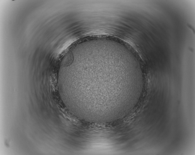 X0000101230871200807071409