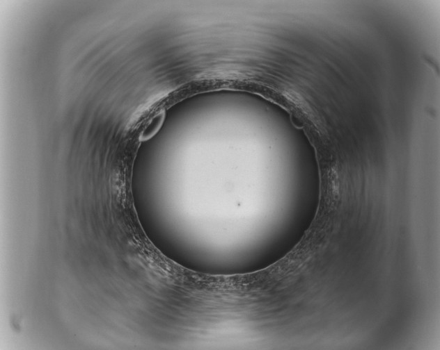 X0000101230872200807071409