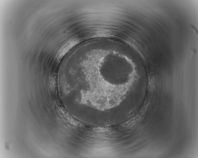 X0000101230874200807071409